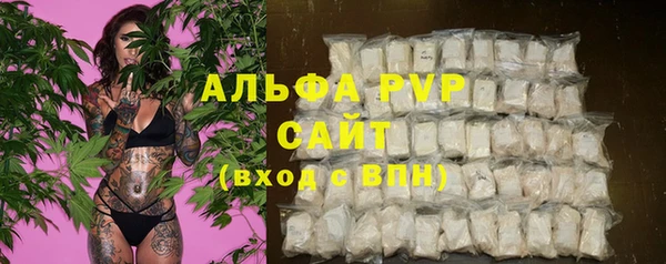 a pvp Алзамай