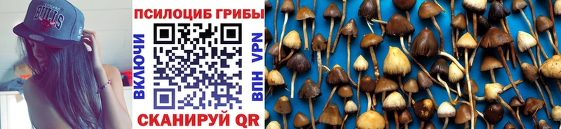 наркота  OMG рабочий сайт  Псилоцибиновые грибы Cubensis  Олонец 